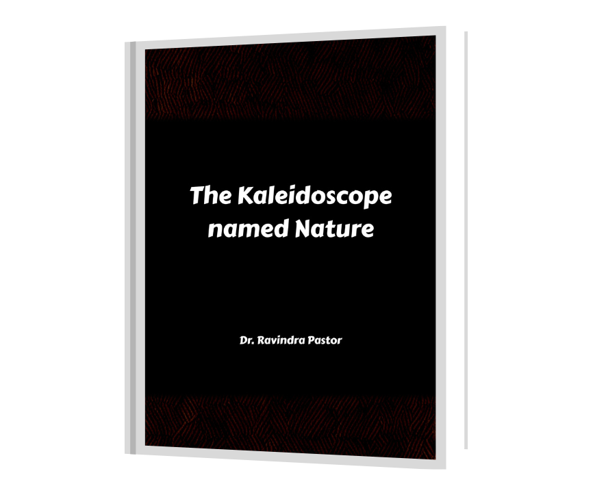 Untitled design (17)